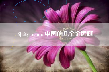 白银中国的几个金牌啊