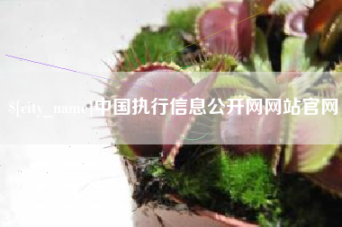 白银中国执行信息公开网网站官网
