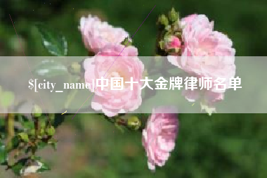 白银中国十大金牌律师名单