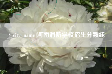 白银河南消防学校招生分数线