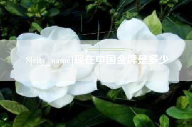 白银现在中国金牌是多少