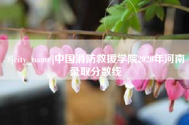 白银中国消防救援学院2020年河南录取分数线