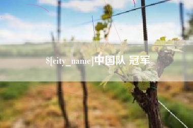 白银中国队 冠军
