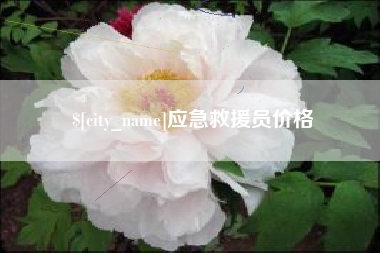 白银应急救援员价格