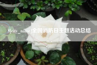 白银全国消防日主题活动总结