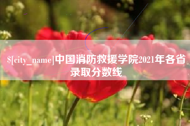 白银中国消防救援学院2021年各省录取分数线