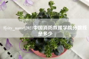 白银2021中国消防救援学院分数线是多少