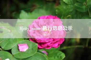 白银执行信息公示