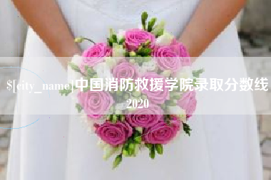 白银中国消防救援学院录取分数线2020