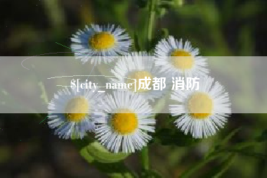 白银成都 消防