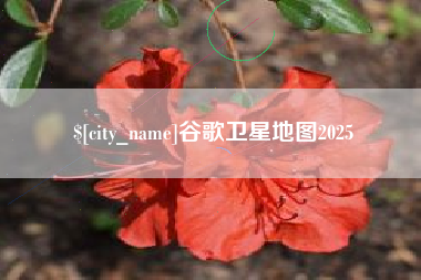 白银谷歌卫星地图2025