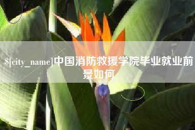 白银中国消防救援学院毕业就业前景如何