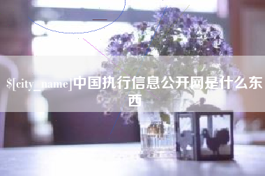 白银中国执行信息公开网是什么东西