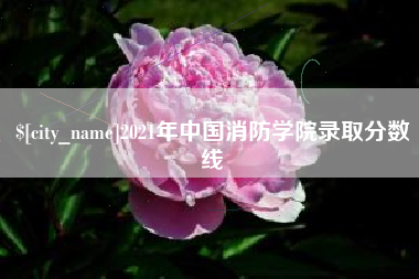 白银2021年中国消防学院录取分数线