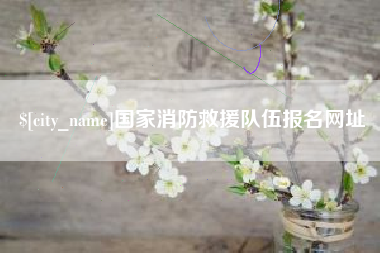 白银国家消防救援队伍报名网址