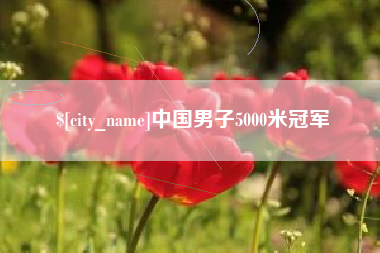 白银中国男子5000米冠军
