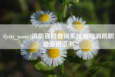 白银消防官网查询系统查询消防职业资格证书