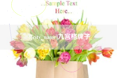 白银九宫格牌子