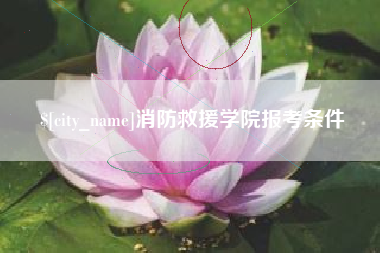 白银消防救援学院报考条件