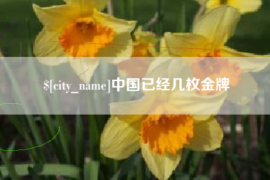 白银中国已经几枚金牌