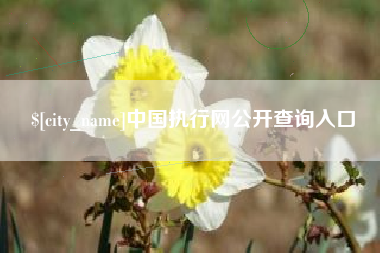 白银中国执行网公开查询入口