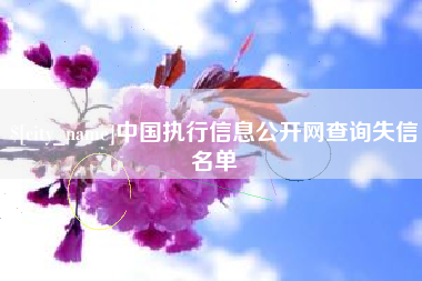 白银中国执行信息公开网查询失信名单
