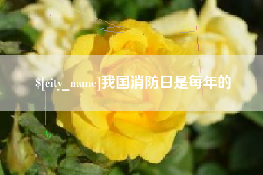 白银我国消防日是每年的