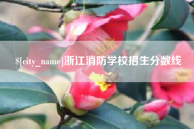 白银浙江消防学校招生分数线