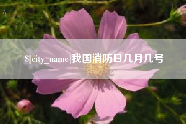 白银我国消防日几月几号