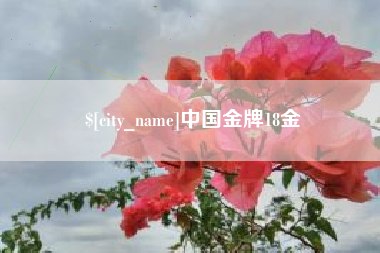 白银中国金牌18金
