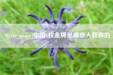 白银中国6枚金牌是哪些人获得的