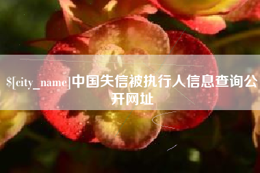 白银中国失信被执行人信息查询公开网址