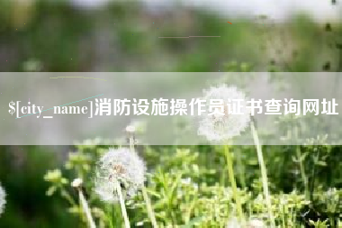 白银消防设施操作员证书查询网址