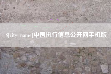 白银中国执行信息公开网手机版