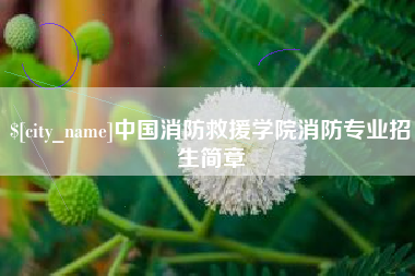 白银中国消防救援学院消防专业招生简章