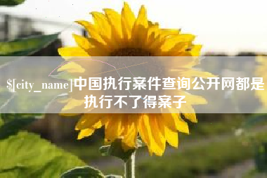 白银中国执行案件查询公开网都是执行不了得案子