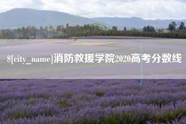 白银消防救援学院2020高考分数线