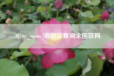 白银消防证查询全国联网