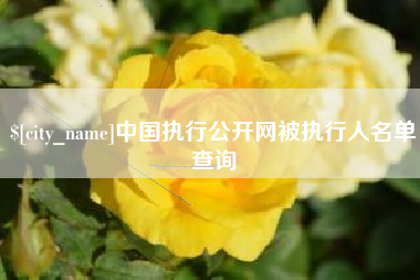 白银中国执行公开网被执行人名单查询