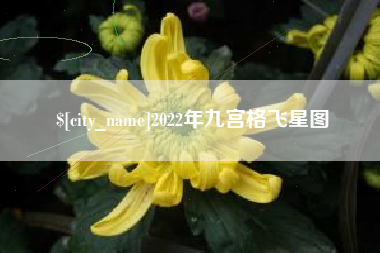 白银2022年九宫格飞星图