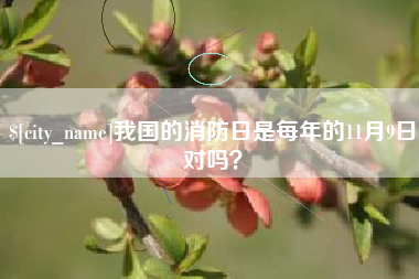 白银我国的消防日是每年的11月9日对吗？