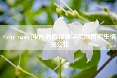 白银中国消防救援学院湖南招生情况公布