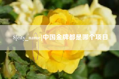 白银中国金牌都是哪个项目
