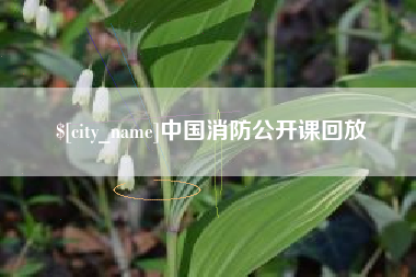 白银中国消防公开课回放