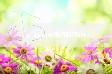 白银中国消防网1190119