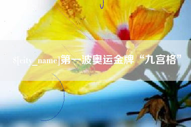 白银第一波奥运金牌“九宫格”