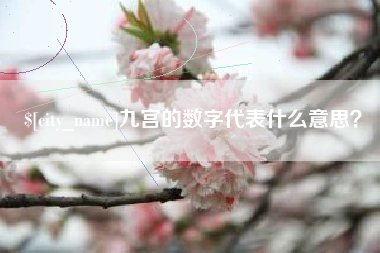 白银九宫的数字代表什么意思？