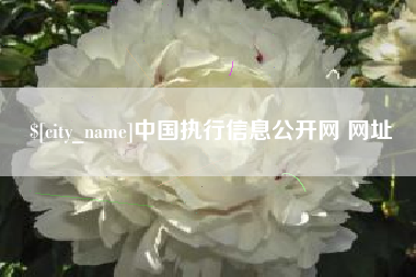 白银中国执行信息公开网 网址