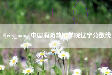 白银中国消防救援学院辽宁分数线