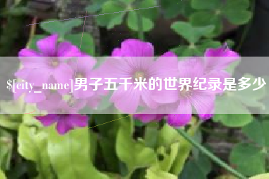 白银男子五千米的世界纪录是多少